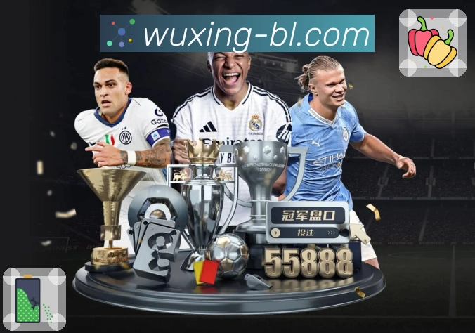 品牌荣誉的成长见证